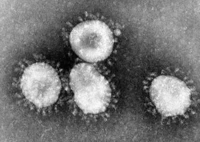 Новому коронавирусу нашли родственника