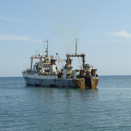 Рыбакам могут ввести новые ограничения по флоту