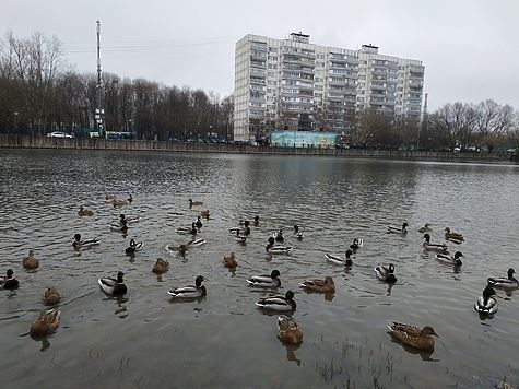 Аномальное тепло и дожди ожидает Москву и область