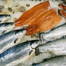 МРФ-2020 обсудит точки роста мирового рыбного рынка