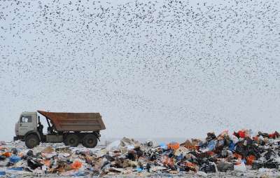 Утилизация мусора в России. Как реформируют отрасль