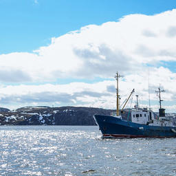 Госполитика в Арктике учтет «рыбные» задачи