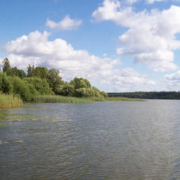 Пять озер Ленинградской области предлагают аквафермерам